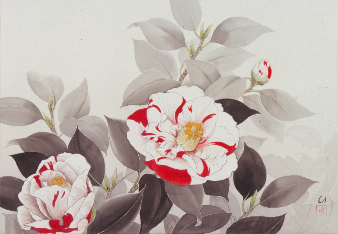 An red-and-white attired camellia